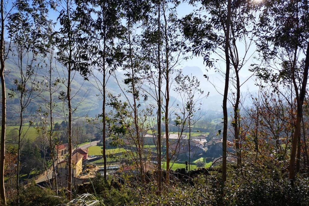 Mugidos Lejanos Villa La Vega  Ngoại thất bức ảnh